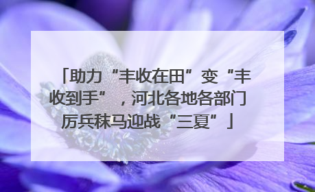 助力“丰收在田”变“丰收到手”，河北各地各部门厉兵秣马迎战“三夏”