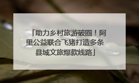 助力乡村旅游破圈！阿里公益联合飞猪打造多条县域文旅爆款线路