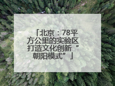 北京：78平方公里的实验区打造文化创新“朝阳模式”