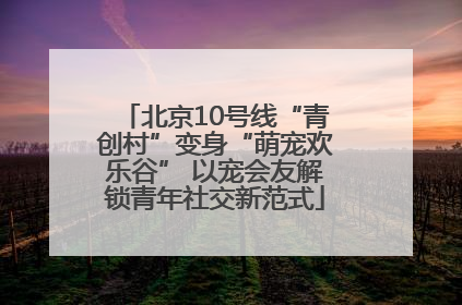 北京10号线“青创村”变身“萌宠欢乐谷” 以宠会友解锁青年社交新范式