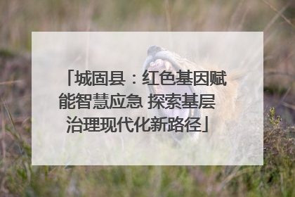 城固县：红色基因赋能智慧应急 探索基层治理现代化新路径