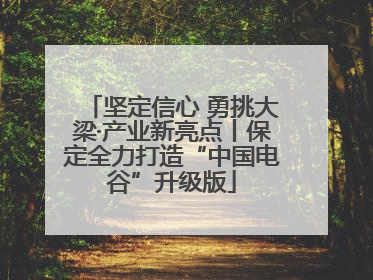 坚定信心 勇挑大梁·产业新亮点丨保定全力打造“中国电谷”升级版