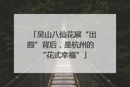 吴山八仙花展“出圈”背后，是杭州的“花式幸福”