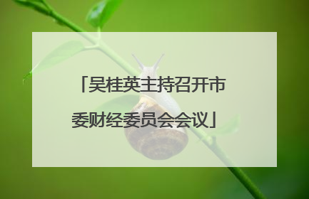 吴桂英主持召开市委财经委员会会议