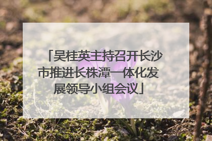 吴桂英主持召开长沙市推进长株潭一体化发展领导小组会议