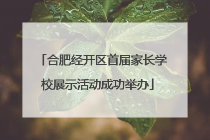 合肥经开区首届家长学校展示活动成功举办
