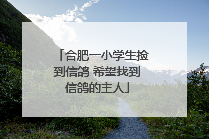 合肥一小学生捡到信鸽 希望找到信鸽的主人