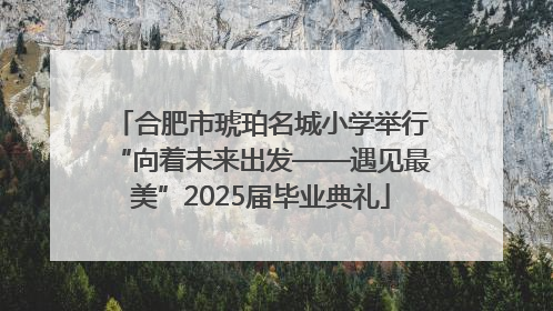 合肥市琥珀名城小学举行“向着未来出发——遇见最美”2025届毕业典礼