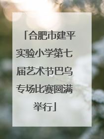 合肥市建平实验小学第七届艺术节巴乌专场比赛圆满举行