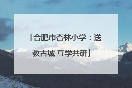 合肥市杏林小学：送教古城 互学共研