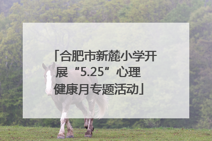合肥市新麓小学开展“5.25”心理健康月专题活动