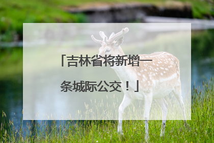 吉林省将新增一条城际公交！