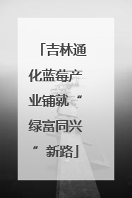 吉林通化蓝莓产业铺就“绿富同兴”新路