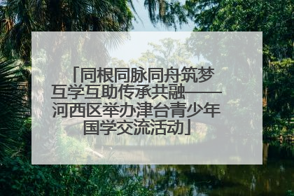 同根同脉同舟筑梦 互学互助传承共融——河西区举办津台青少年国学交流活动