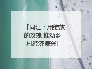 同江：用绽放的玫瑰 推动乡村经济振兴