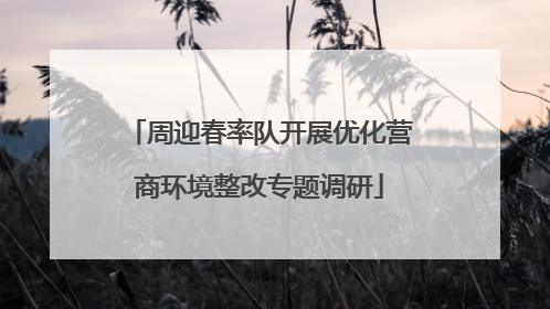 周迎春率队开展优化营商环境整改专题调研