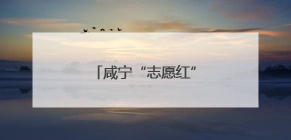 咸宁“志愿红”织密高考服务网