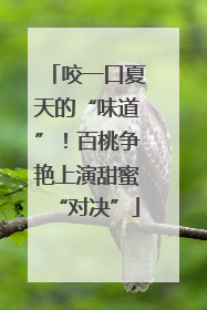 咬一口夏天的“味道”！百桃争艳上演甜蜜“对决”