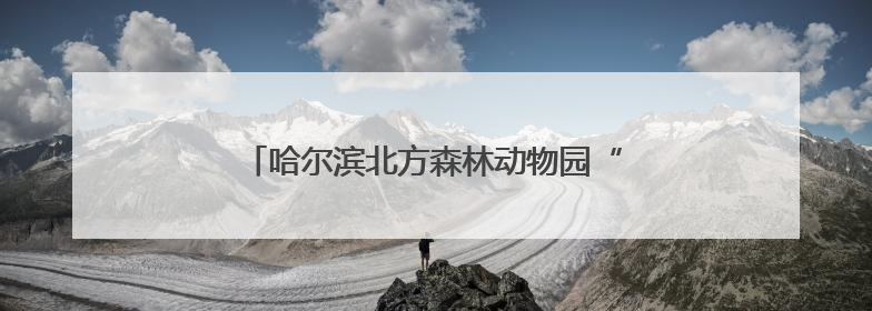 哈尔滨北方森林动物园“私人定制”粽子迎端午