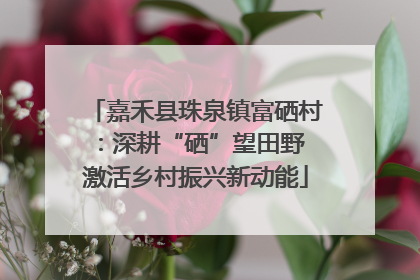 嘉禾县珠泉镇富硒村：深耕“硒”望田野 激活乡村振兴新动能