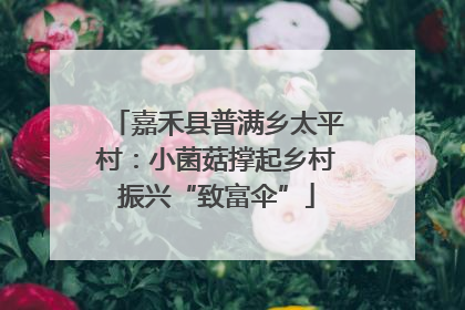 嘉禾县普满乡太平村：小菌菇撑起乡村振兴“致富伞”