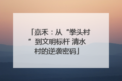 嘉禾：从“拳头村”到文明标杆 清水村的逆袭密码