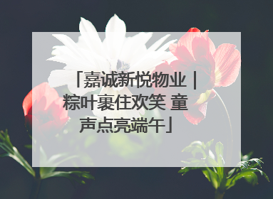 嘉诚新悦物业｜粽叶裹住欢笑 童声点亮端午
