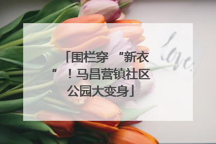围栏穿 “新衣”！马昌营镇社区公园大变身
