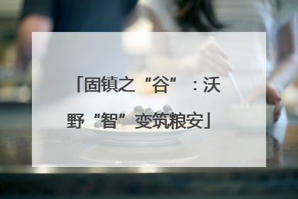 固镇之“谷”：沃野“智”变筑粮安