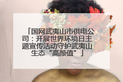 国网武夷山市供电公司：开展世界环境日主题宣传活动守护武夷山生态“高颜值”