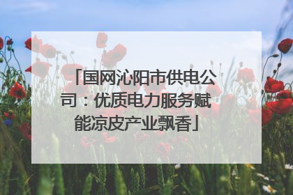 国网沁阳市供电公司：优质电力服务赋能凉皮产业飘香
