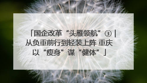 国企改革“头雁领航”③｜从负重前行到轻装上阵 重庆以“瘦身”谋“健体”