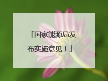 国家能源局发布实施意见！