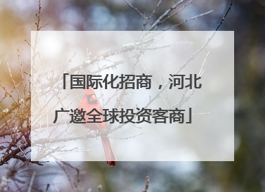 国际化招商，河北广邀全球投资客商