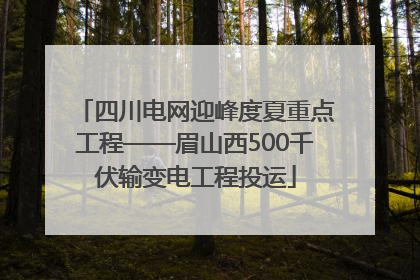 四川电网迎峰度夏重点工程——眉山西500千伏输变电工程投运
