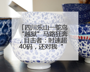 四川乐山一鸵鸟“越狱”马路狂奔，目击者：时速超40码，还对我“笑”了下