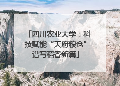 四川农业大学：科技赋能“天府粮仓”谱写稻香新篇