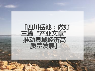 四川岳池：做好三篇“产业文章” 推动县域经济高质量发展