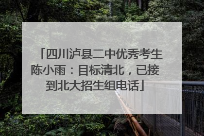 四川泸县二中优秀考生陈小雨：目标清北，已接到北大招生组电话