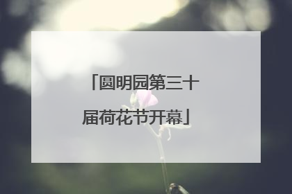 圆明园第三十届荷花节开幕