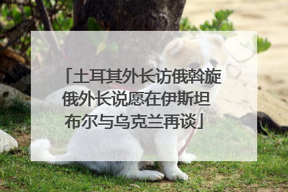 土耳其外长访俄斡旋 俄外长说愿在伊斯坦布尔与乌克兰再谈