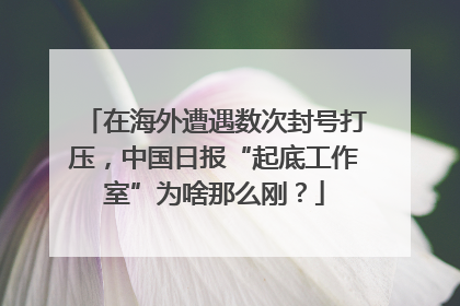 在海外遭遇数次封号打压，中国日报“起底工作室”为啥那么刚？