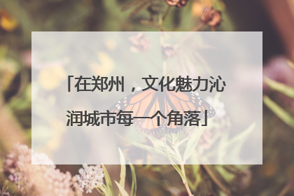在郑州，文化魅力沁润城市每一个角落