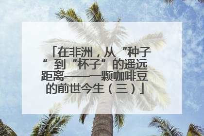 在非洲，从“种子”到“杯子”的遥远距离——一颗咖啡豆的前世今生（三）
