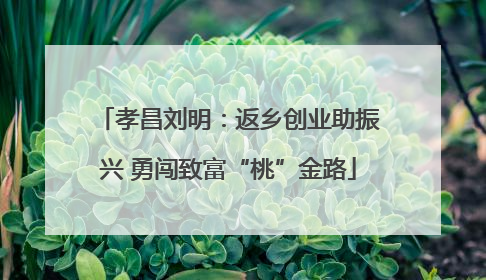孝昌刘明：返乡创业助振兴 勇闯致富“桃”金路