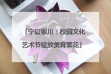 宁夏银川：校园文化艺术节绽放美育繁花