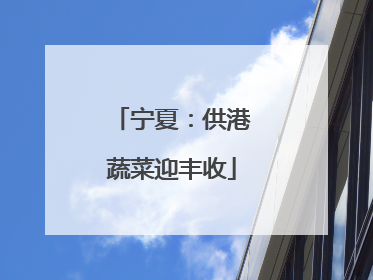 宁夏：供港蔬菜迎丰收