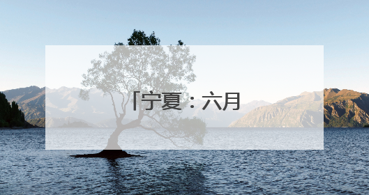 宁夏：六月头茬枸杞红
