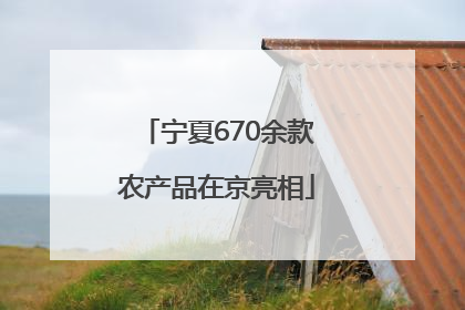 宁夏670余款农产品在京亮相