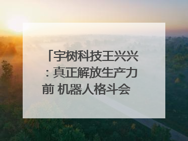 宇树科技王兴兴：真正解放生产力前 机器人格斗会成为全球受欢迎的赛事｜科技观察